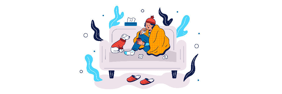 Bye-Bye Cold Feet: How a Dr. Odin Electric Bed Warmer Can Revolutionize Your Winter Sleep