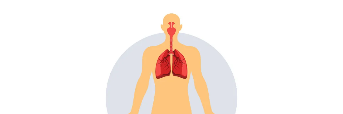 How To Organically Improve Your Body's Oxygen Levels