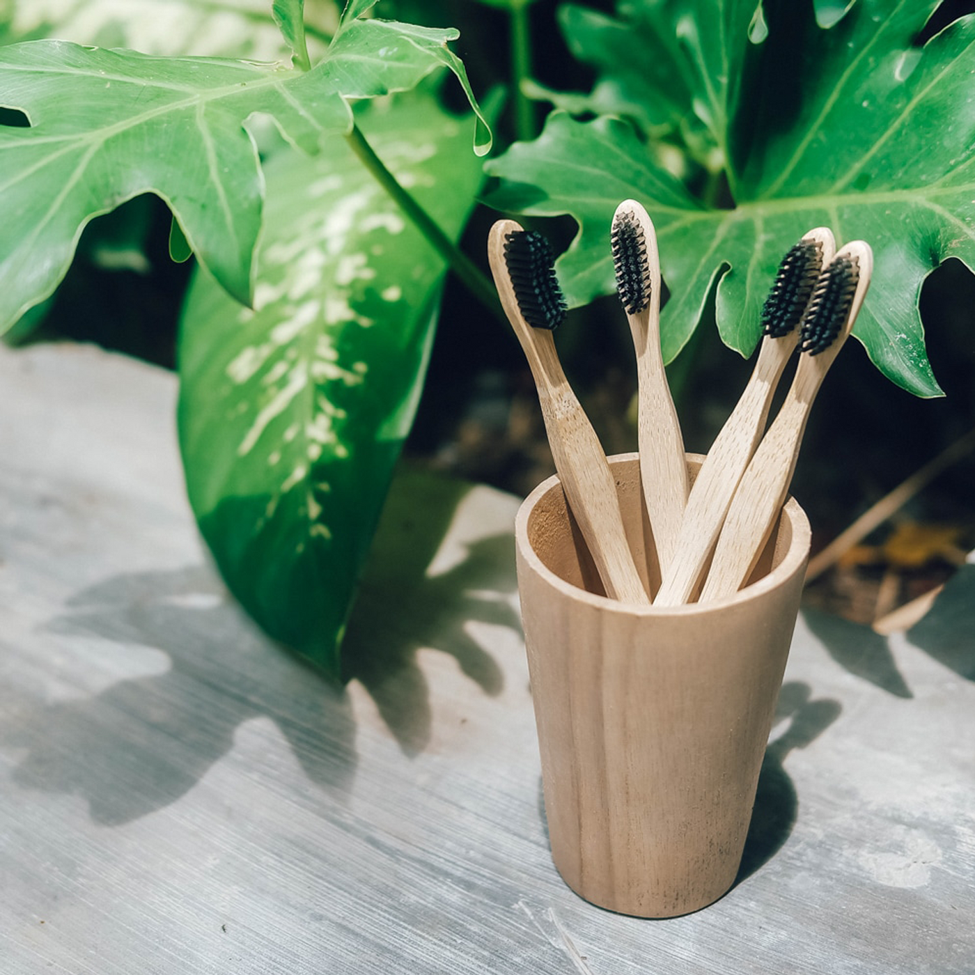 Sangsara Bamboo Charcoal Toothbrush | Soft Bristles for Gentle Oral ...