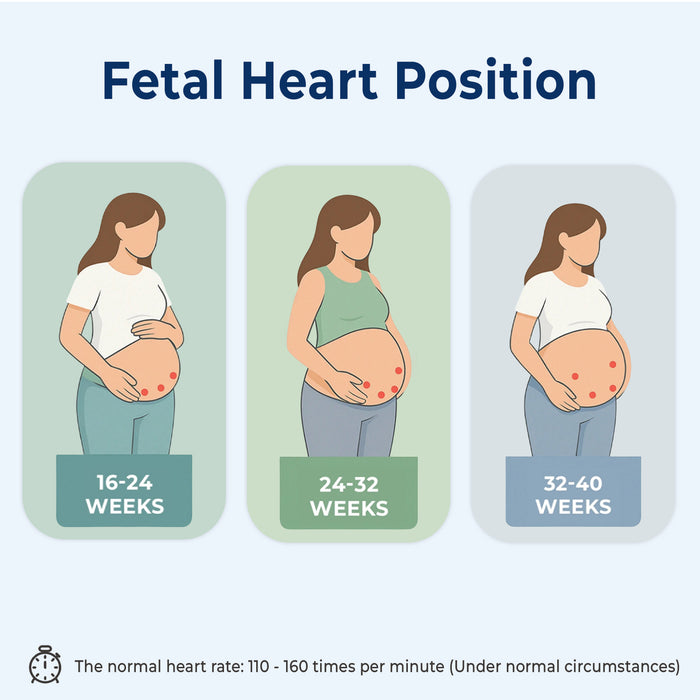 Illustration of a pregnant woman with fetal heart locations marked at different weeks of pregnancy.