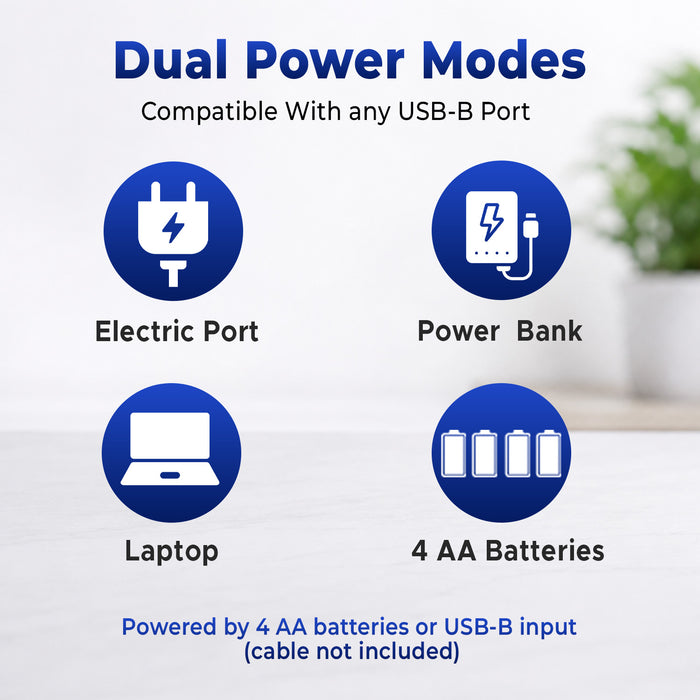 Diagram of dual power modes with icons for electric port, power bank, laptop, and 4 AA batteries on a white background.