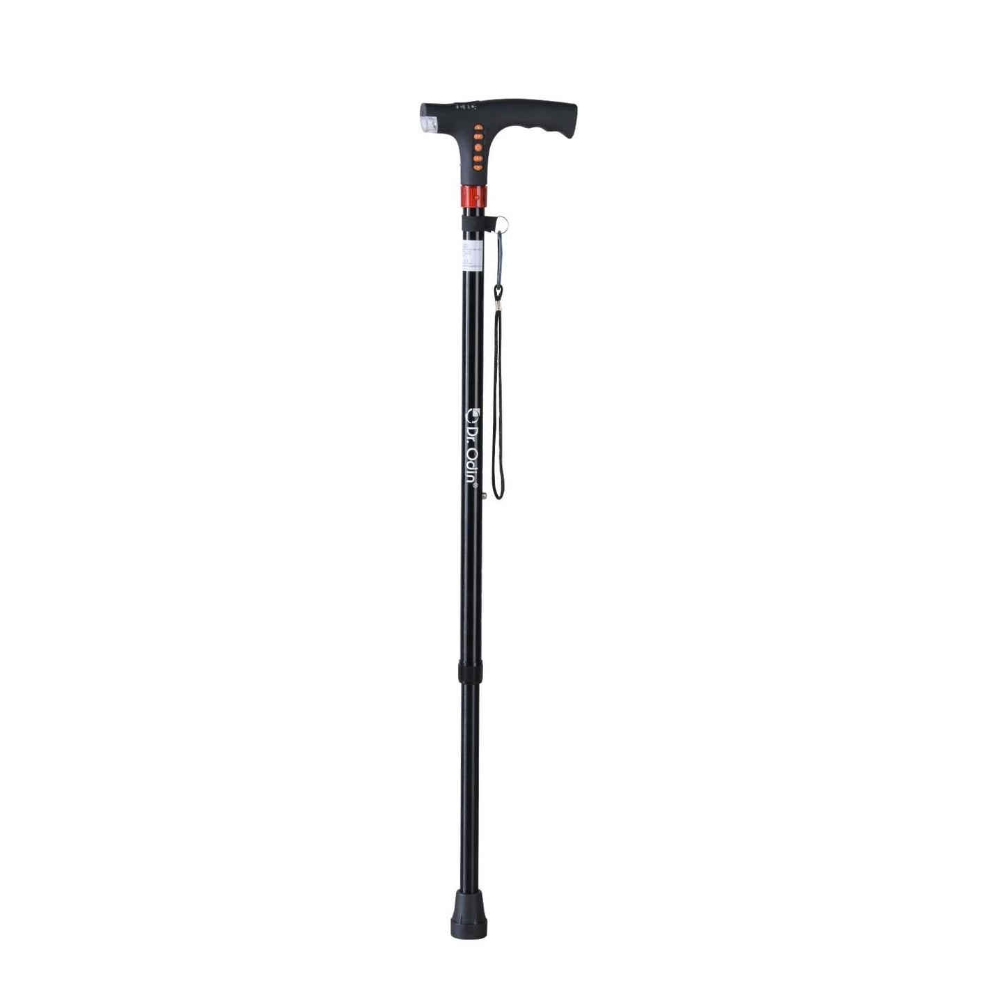 Smart Walking Stick