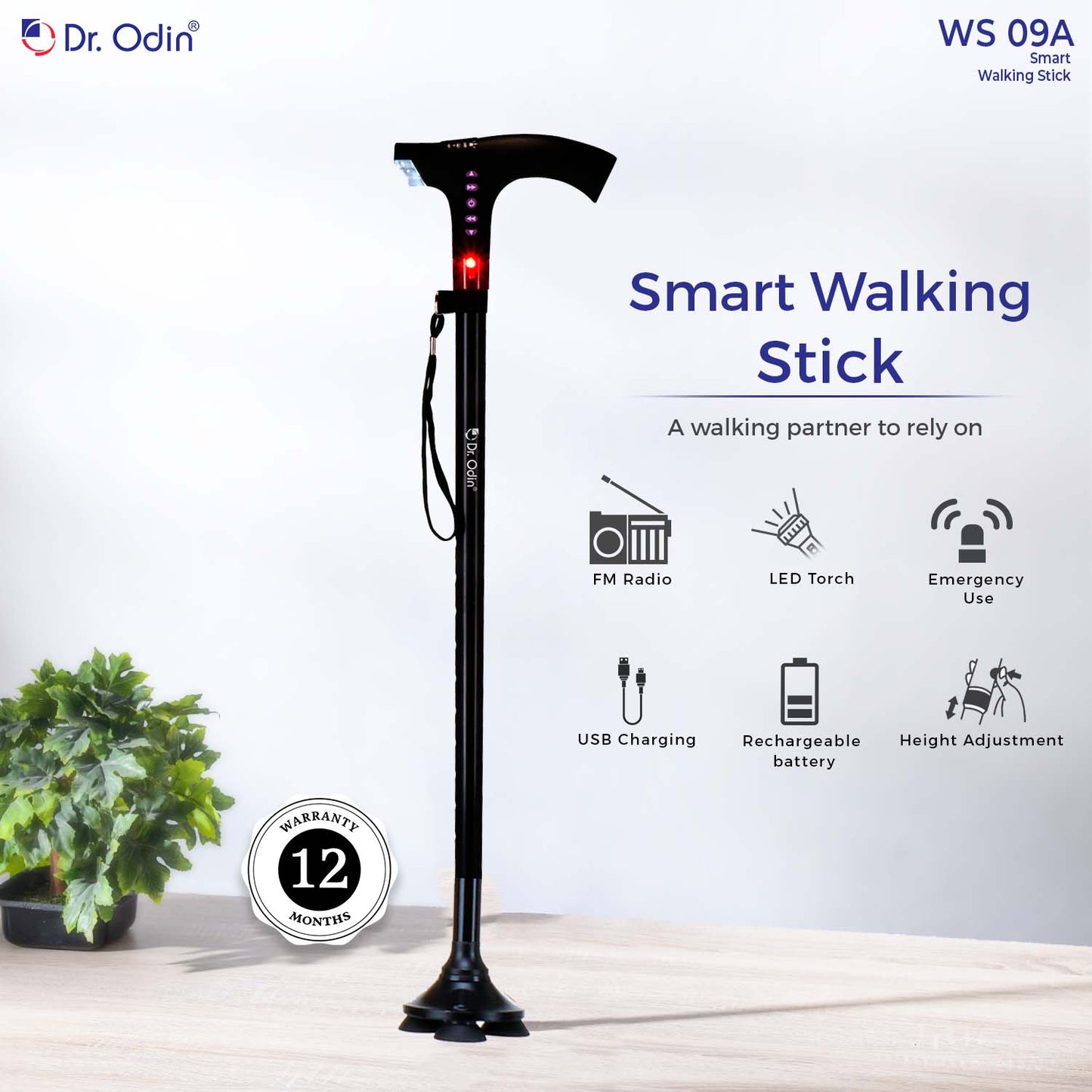 Smart Walking Stick Standalone
