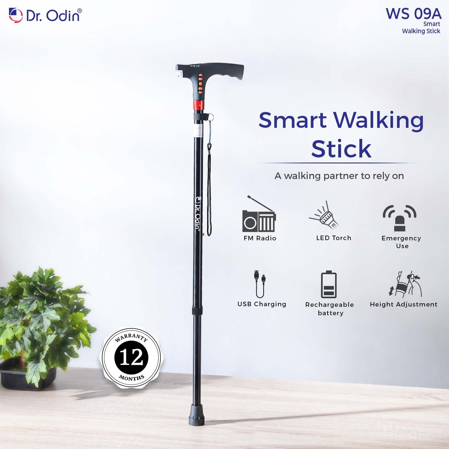 Smart Walking Stick