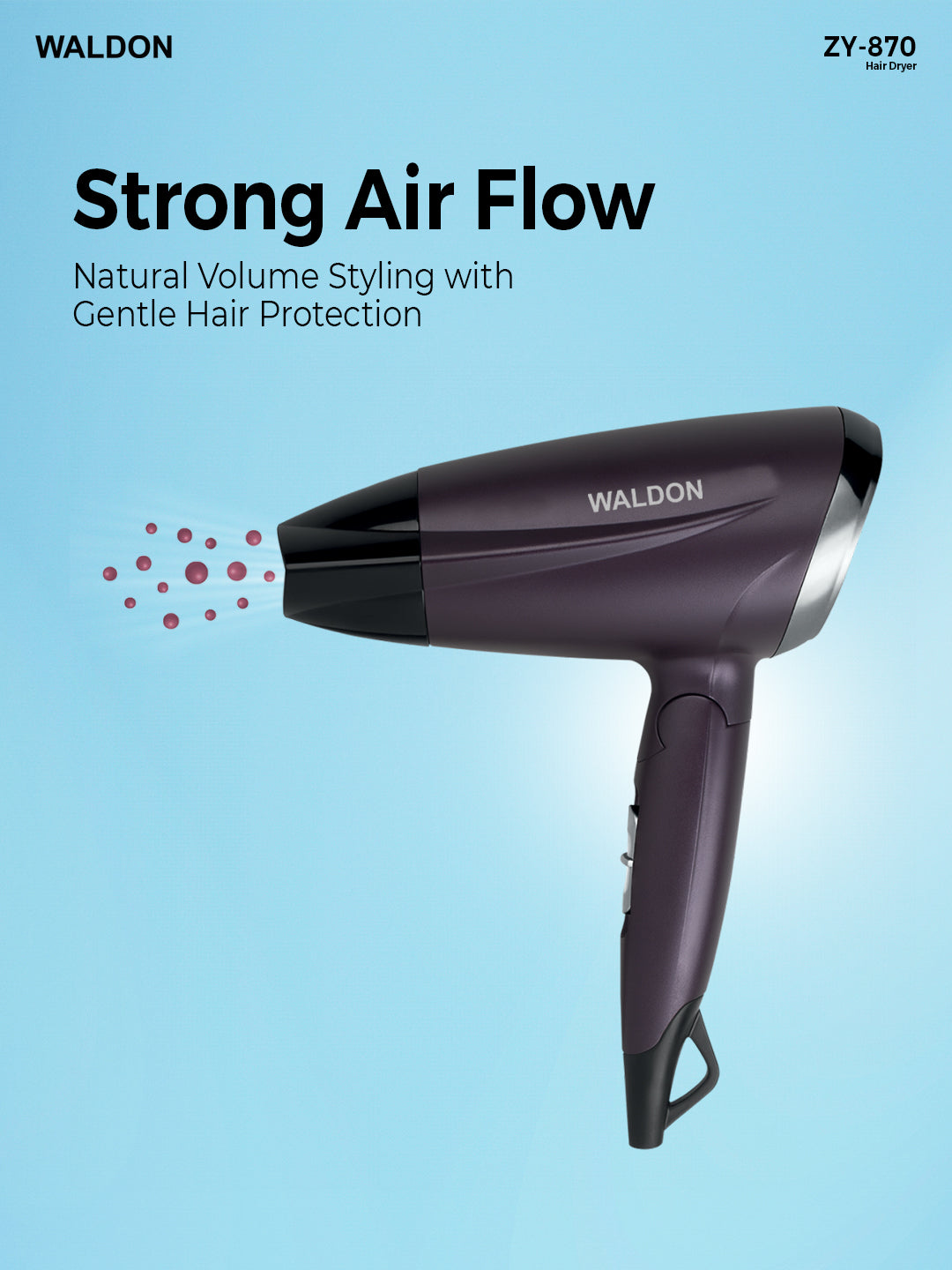 Waldon Hair Dryer ZY-870